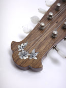 Calace Mandola No.13