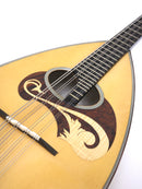 Calace Mandola Classico B Special