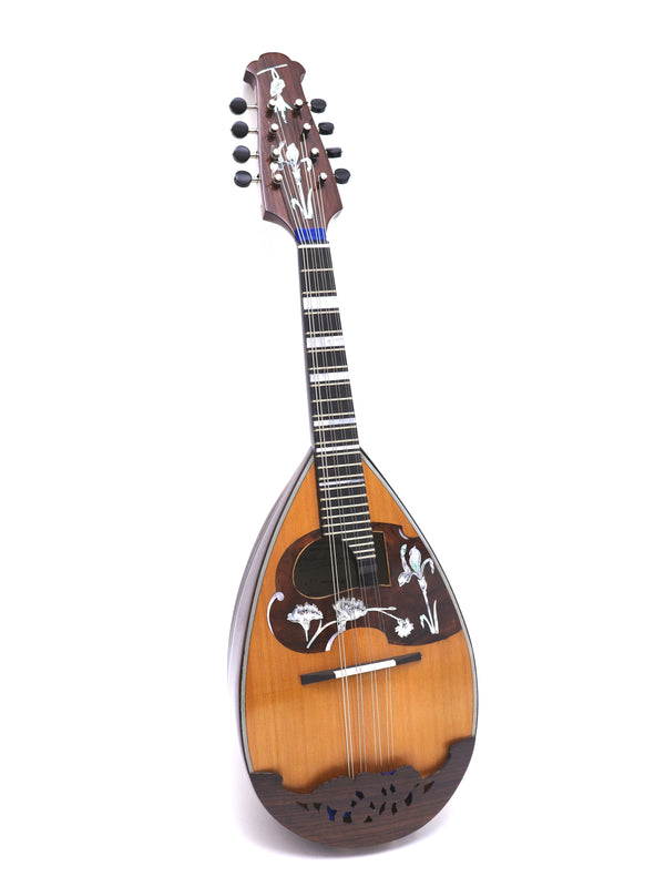 Calace Mandolin No.16bis Cedar