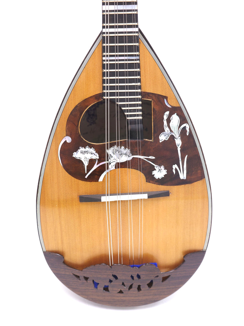 Calace Mandolin No.16bis Cedar