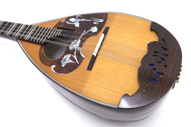 Calace Mandolin No.16bis Cedar