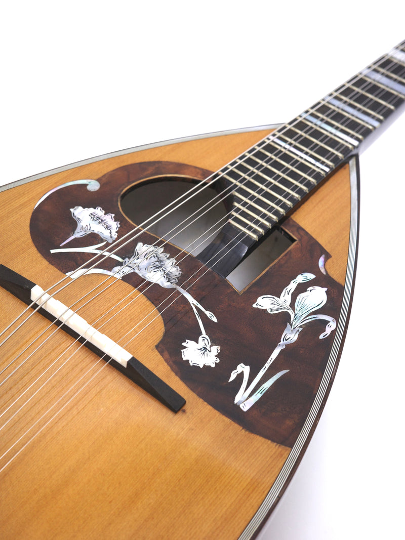 Calace Mandolin No.16bis Cedar