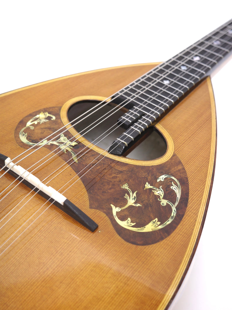 Calace Mandolin Classico A Special Cedar