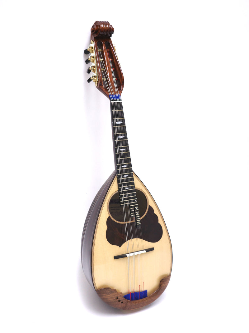 Calace Mandolin Ripa Artista