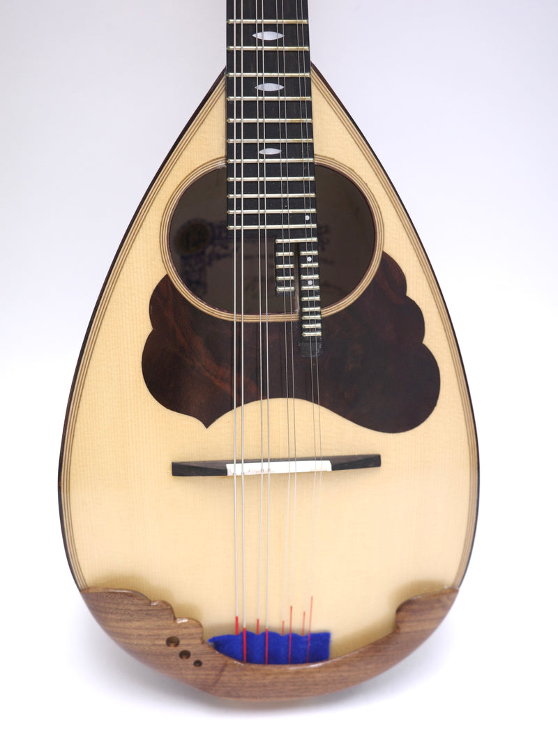 Calace Mandolin Ripa Artista