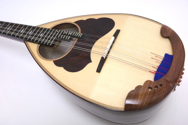 Calace Mandolin Ripa Artista