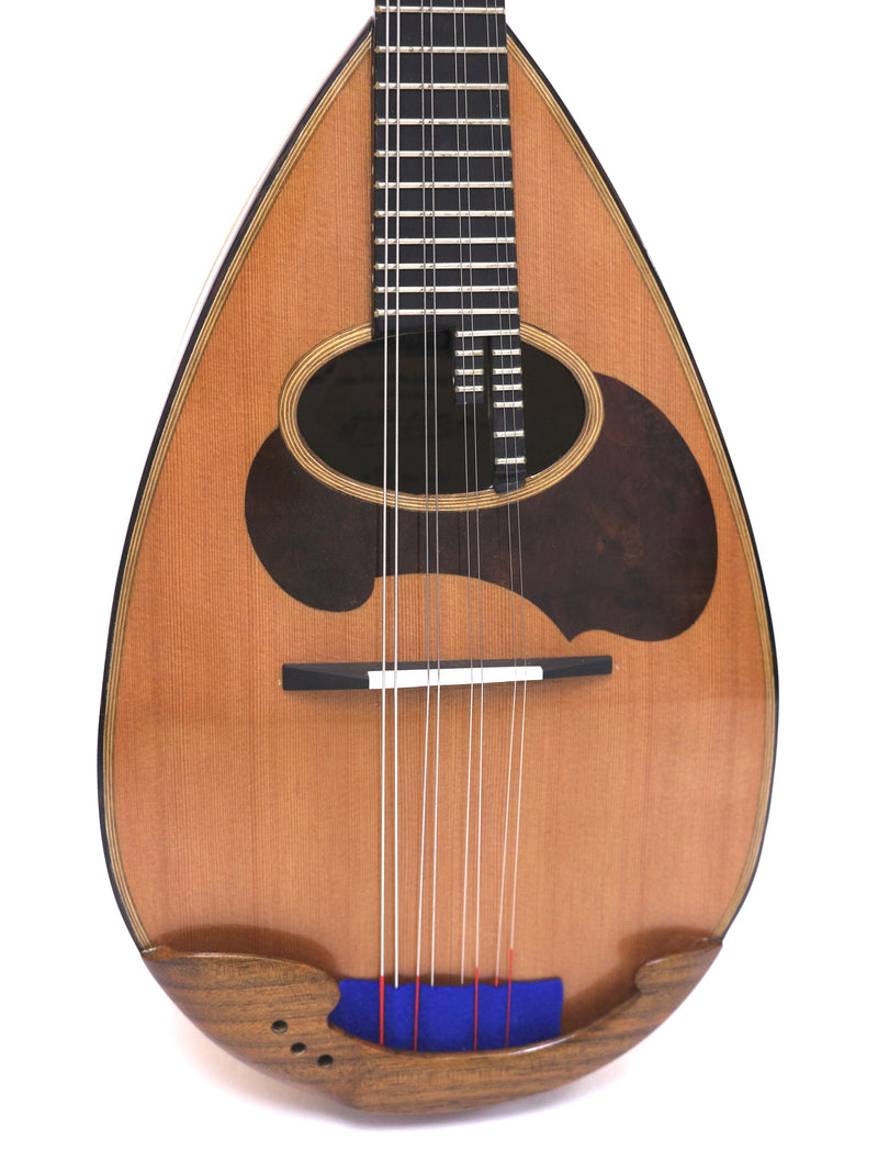 Calace Mandolin Classico A Cedar