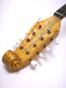 컬러 체만돌린 클라시코 A 스기