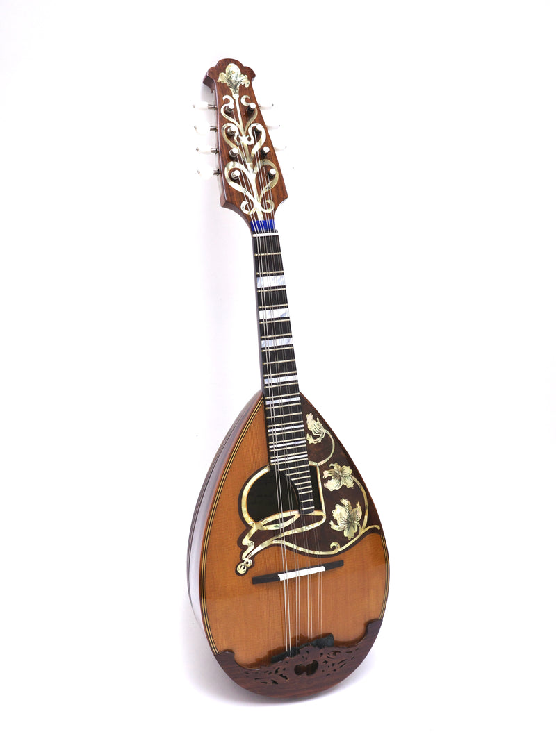 Calace Mandolin Brevettato Cedar