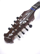 Calace Mandola No.16bis