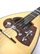Calace Mandola No.16bis