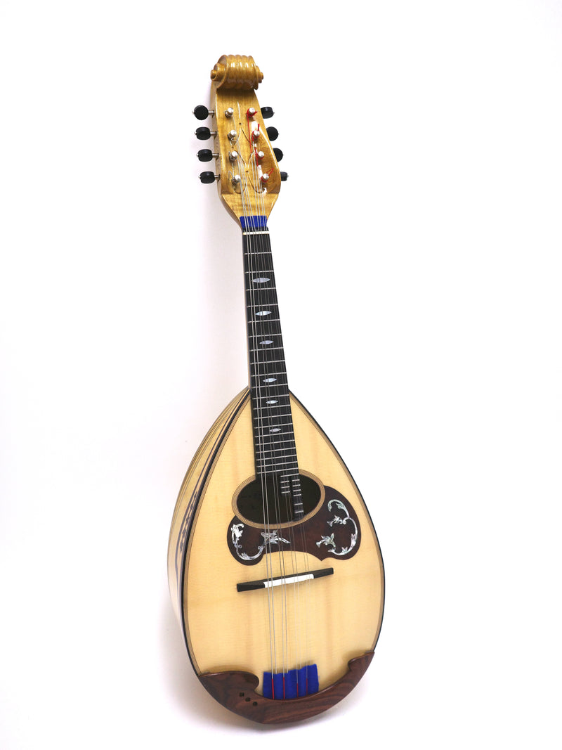 Calace Mandolin Classico A Special