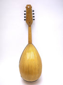 컬러 체만돌린 클라시코 A Special