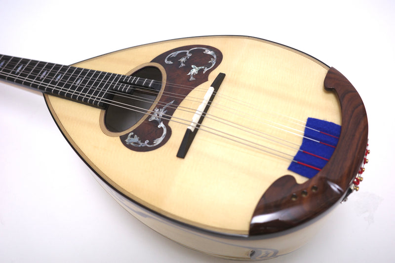 Calace Mandolin Classico A Special