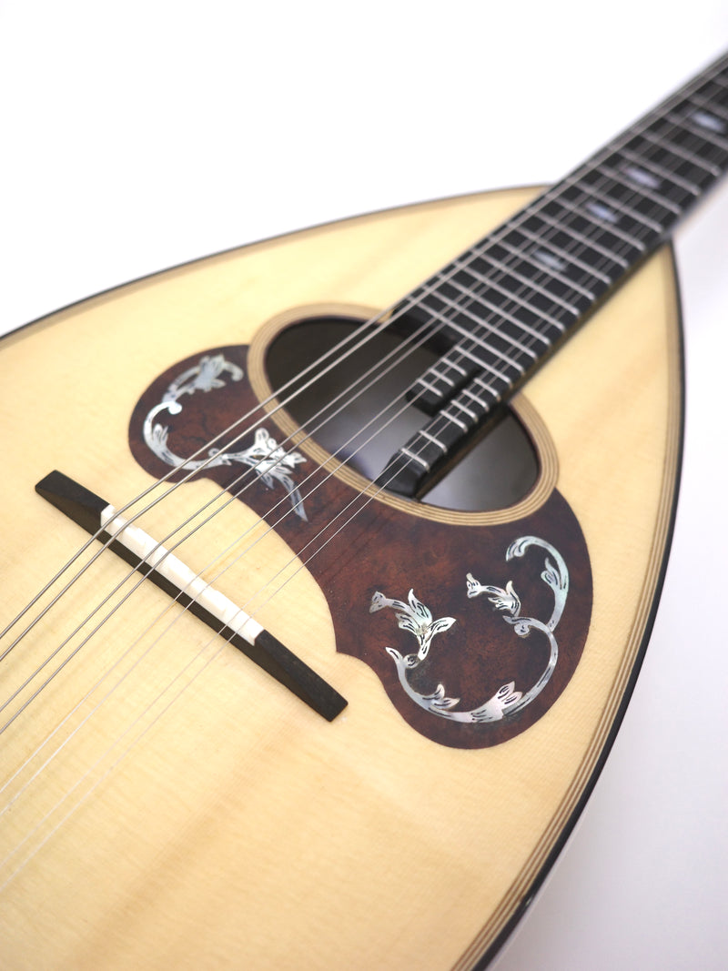 Calace Mandolin Classico A Special