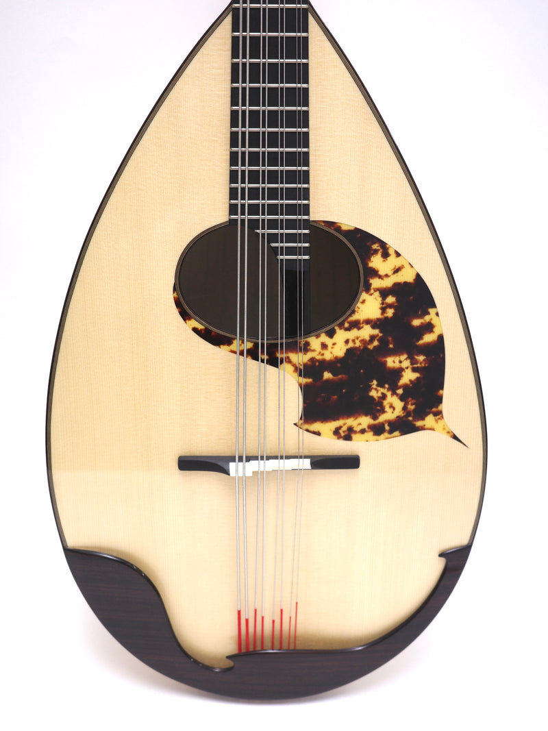 Ochiai Mandoloncello CS-1