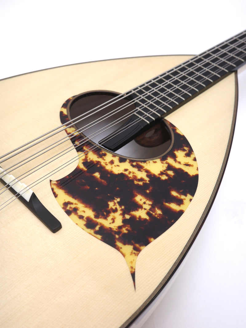 Ochiai Mandoloncello CS-1