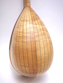 川田マンドリンM-30