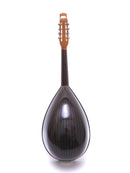 오치아이 만드라 DS-1 로즈우드 바디