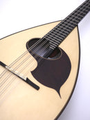 오치아이 만드라 DS-1 로즈우드 바디