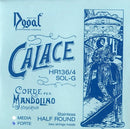 ドーガル弦(青) マンドリン G