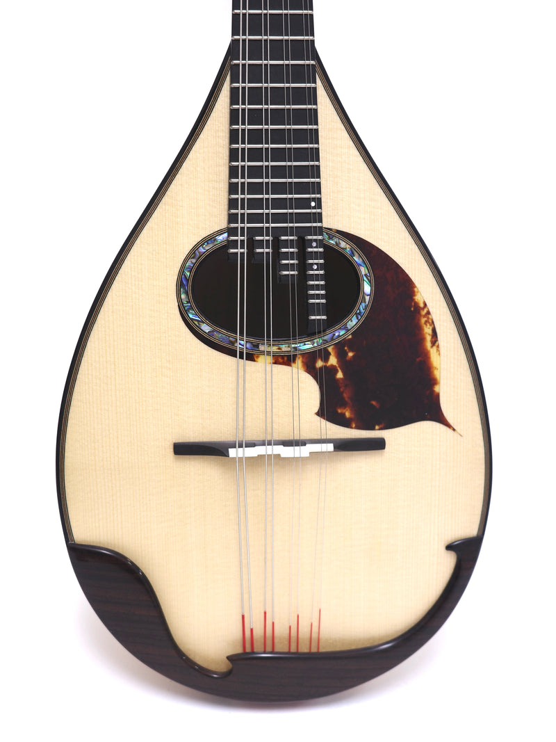 Ochiai Mandolin SS