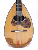 [Reused] Color Cemandra Clasico A 2002