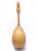 [Reused] Color Cemandra Clasico A 2002