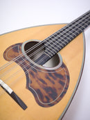 [Reused] Color Cemandra Clasico A 2002