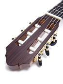 알란페스 알토 기타 A-13