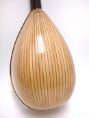 [Reused] Calace Mandolin Classico B 2000