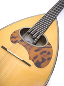 [Reused] Calace Mandolin Classico B 2000