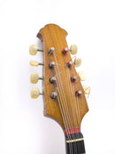 [Reuse] Color Chamandolin Classico B 1982