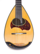 【リユース】Eastmanマンドリン　model: Milano