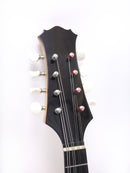 【リユース】Eastmanマンドリン　model: Milano