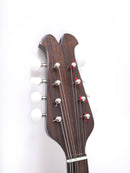 【リユース】落合マンドリン 1967年