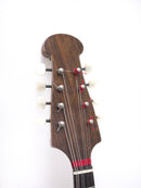 【リユース】カラーチェマンドリンNo.24　1988年