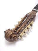 落合マンドリンS-SR