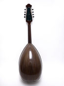 Calace Mandola No.15