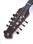 Calace Mandola No.15