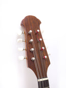 【リユース】石川マンドリンSTD　2008年