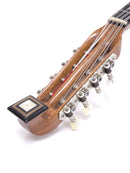 【リユース】落合マンドリンS-3　1974年