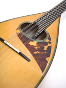 【リユース】嶋田マンドリンM-4　1982年