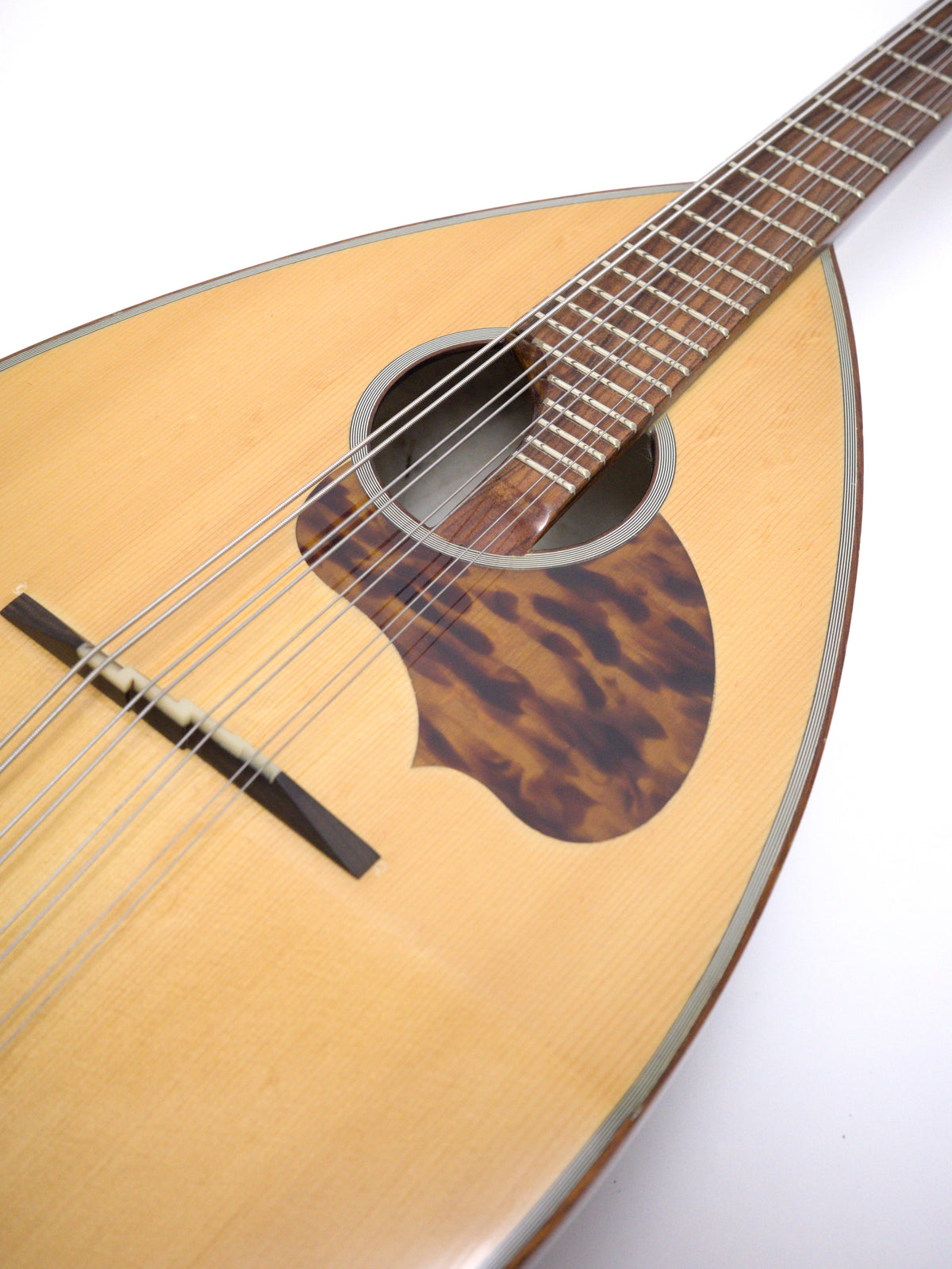 リユース】カラーチェマンドラNo.24 2001年 | イケガク リユース】カラーチェマンドラNo.24 2001年 | イケガク