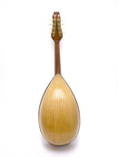 【リユース】野口マンドラOD-S 　2016年