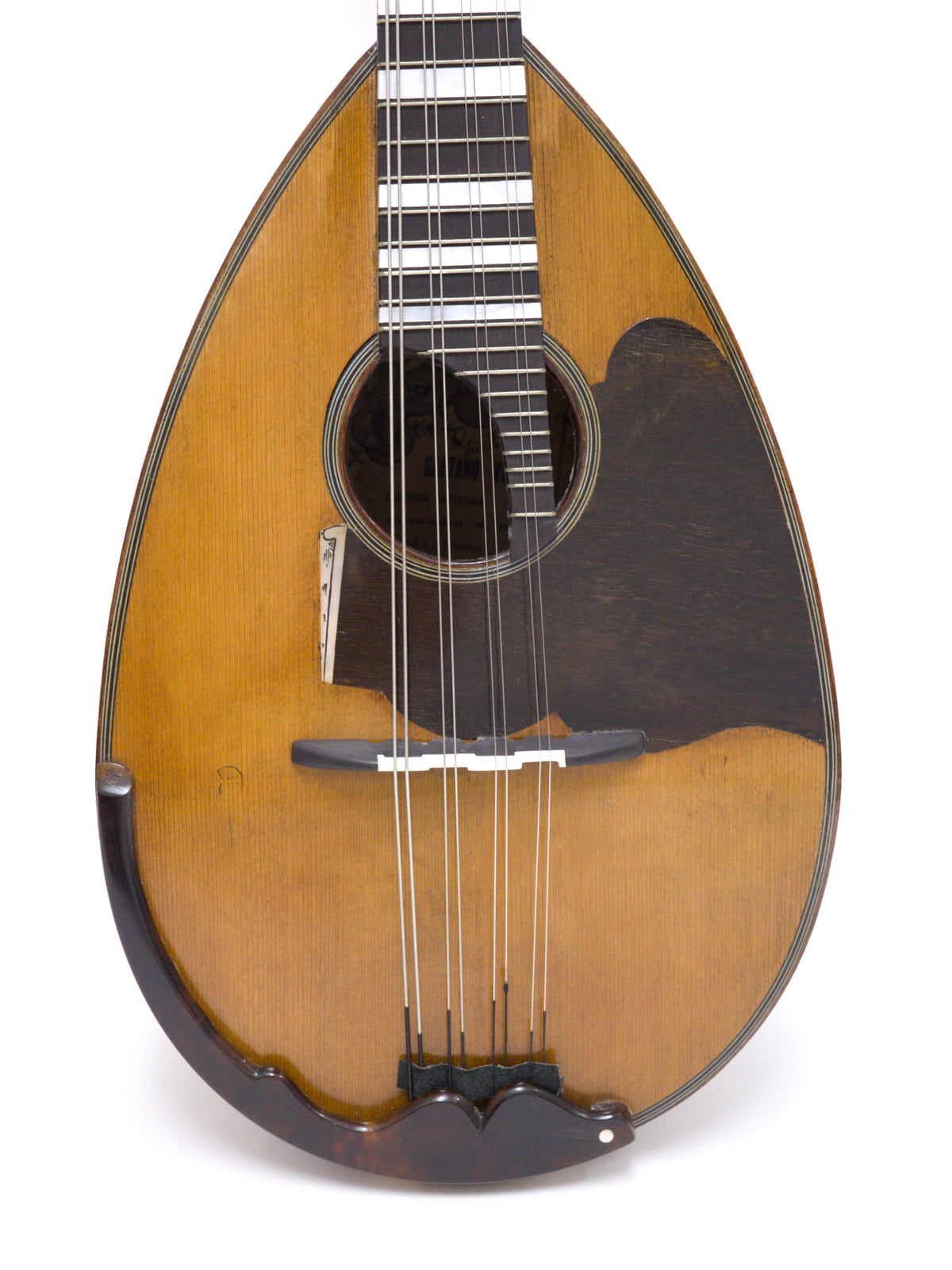 リユース】ヴィナッチャマンドリン ヴィーナスヘッド 1913年