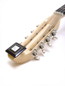 Ochiai Mandoloncello CS-2