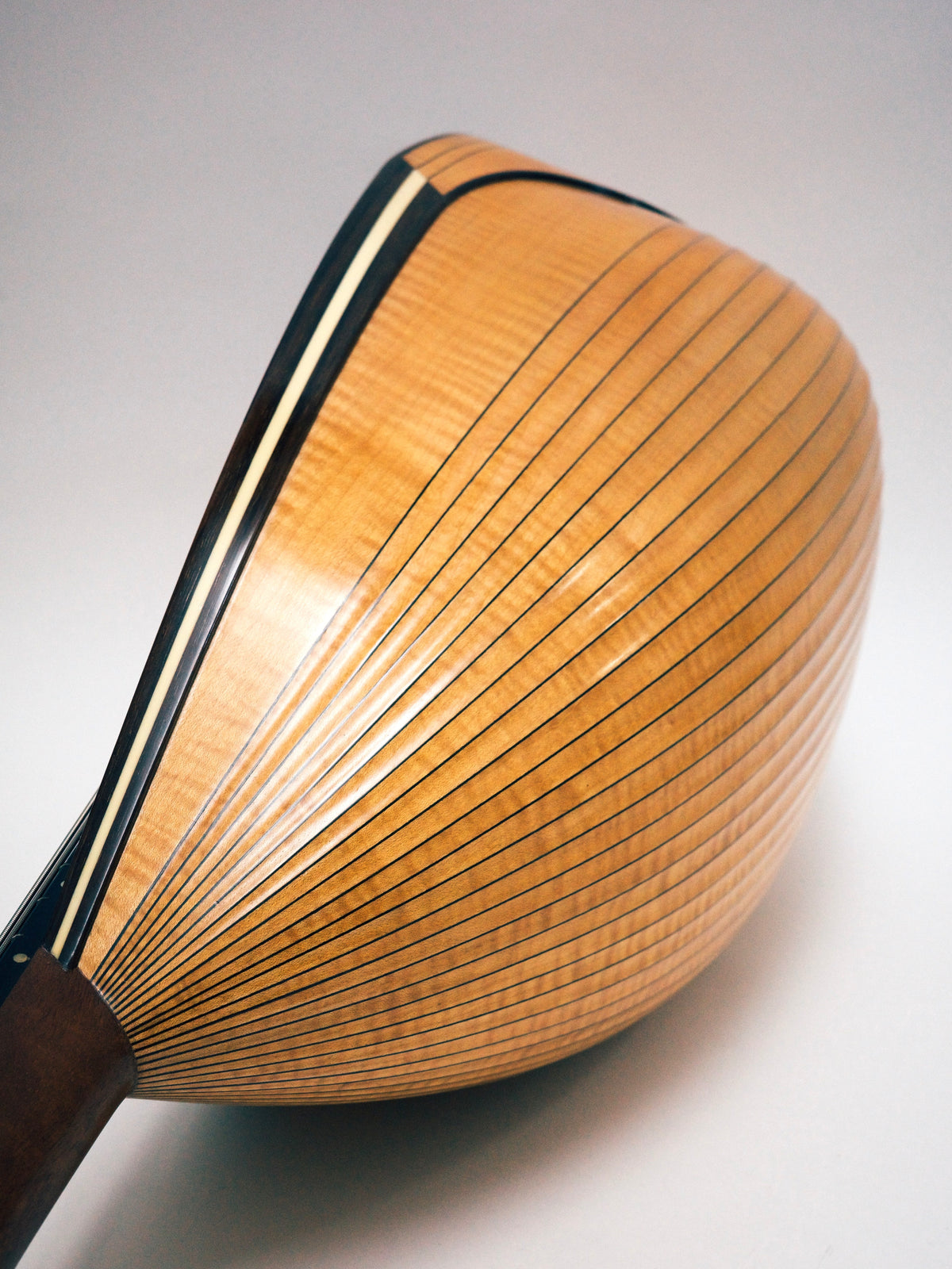 リユース】野口マンドラOD-S 2016年| イケガク