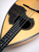 【リユース】野口マンドラOD-S 　2016年