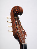 【リユース】野口マンドラOD-S 　2016年